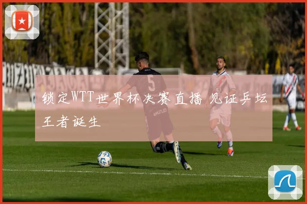 锁定WTT世界杯决赛直播 见证乒坛王者诞生