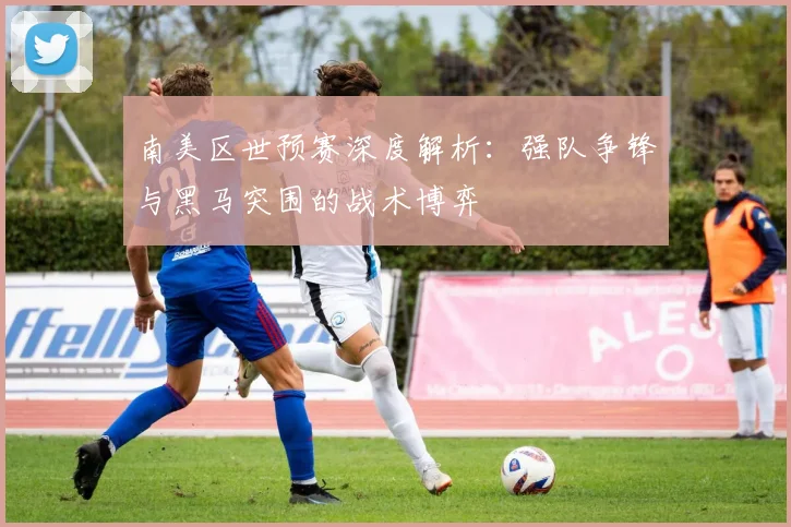 南美区世预赛深度解析：强队争锋与黑马突围的战术博弈