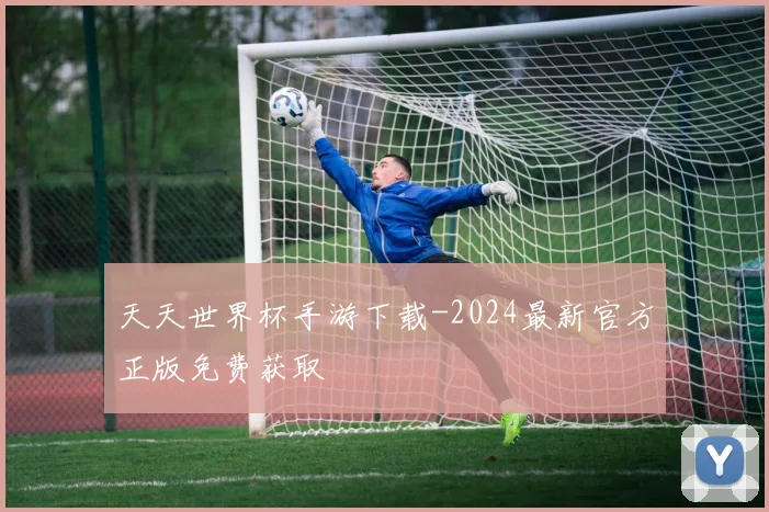 天天世界杯手游下载-2024最新官方正版免费获取
