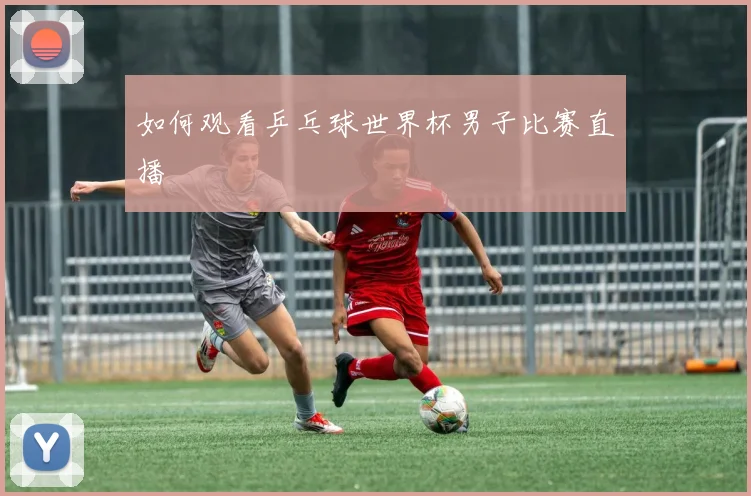 如何观看乒乓球世界杯男子比赛直播