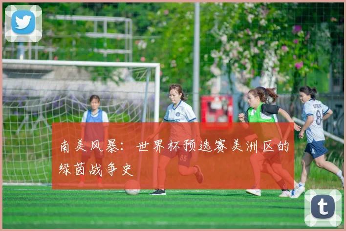 南美风暴：世界杯预选赛美洲区的绿茵战争史